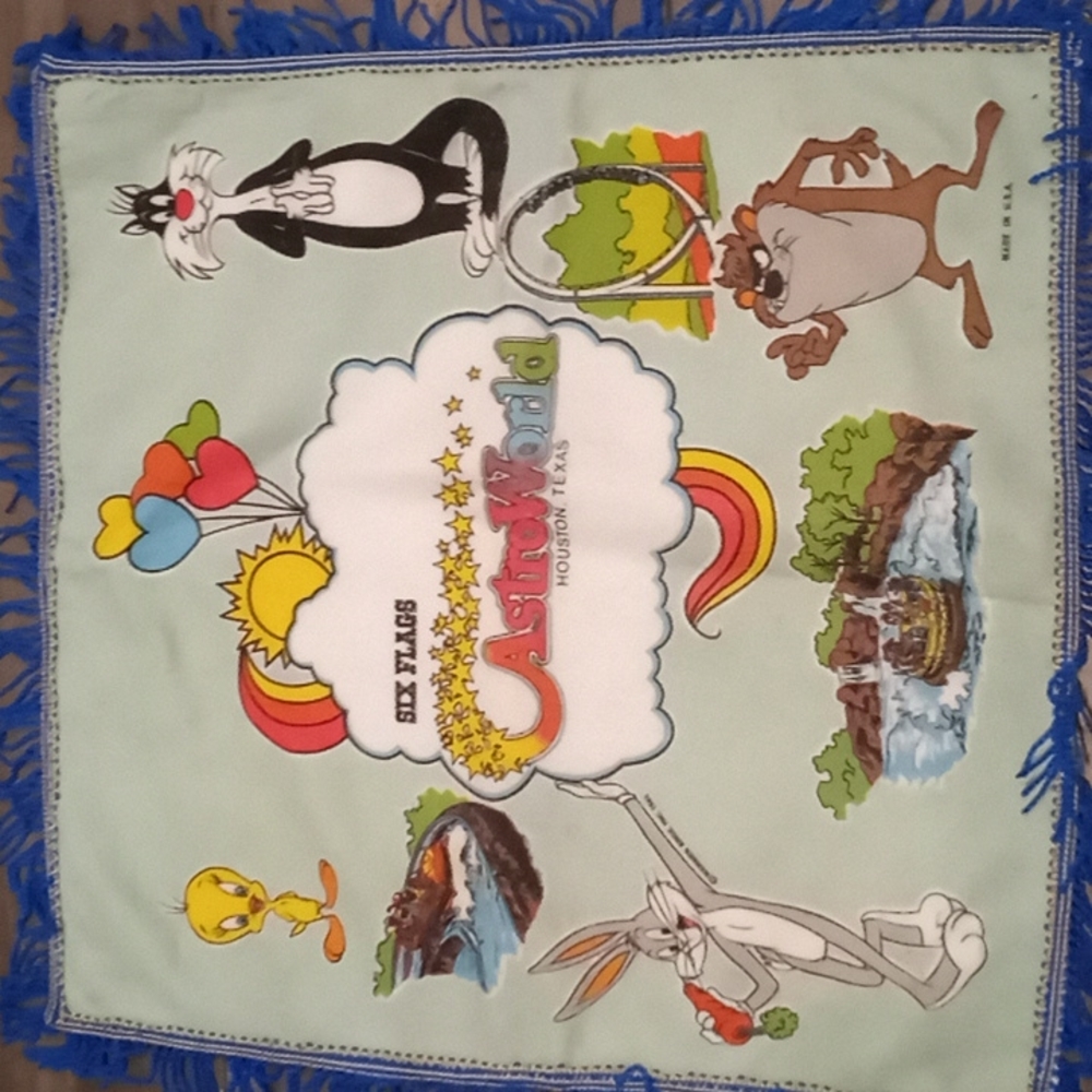 Vintage Warner Brothers 1985‎ Looney Tunes 18" x 18" Astroworld Houston, TX